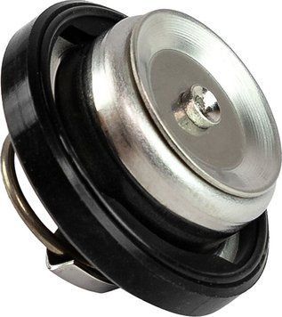 Клапан водной прессуры Suzuki DF25-90/DF200-300 1766099E01000 фото