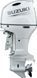 Мотор лодочный Suzuki DF175ATX, белый DF175ATX_white фото 12