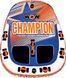 Баллон буксируемый Champion 1-2P 211000 фото 2