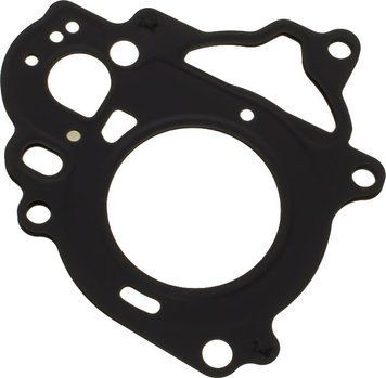 Прокладка под головку цилиндра Suzuki DF2.5 1114197JL0000 фото